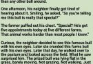 The Farmer Bragged About His Prize Bull Every Day—Until the Bull Finally Told the Truth.