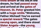 Father Michael thought Heaven had prepared a very special reward for him… until St. Peter explained who was actually being rewarded.” 😄