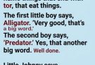 The teacher asked for things ending in “-tor” that eat things. Alligator. Predator. Then Little Johnny said “Elevator”—and his explanation had the entire classroom crying with laughter.