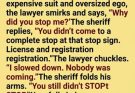 He tried to outsmart a small-town sheriff with courtroom logic… until the sheriff gave him a lesson he couldn’t argue with. 😂🚔